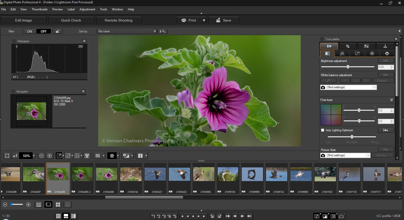 Canon digital photo professional download free for mac